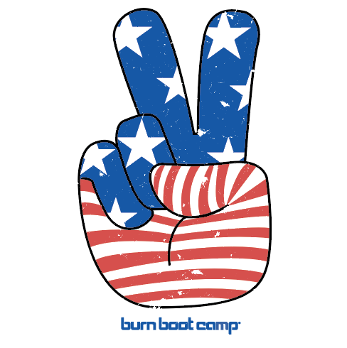 Patriotic Peace Sign